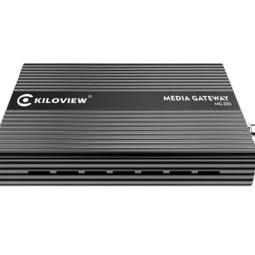 MG300 ממיר פרוטוקלים (media gateway ) 